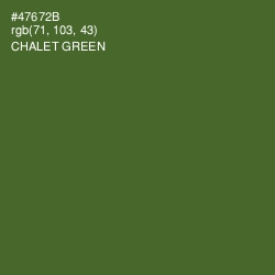 #47672B - Chalet Green Color Image